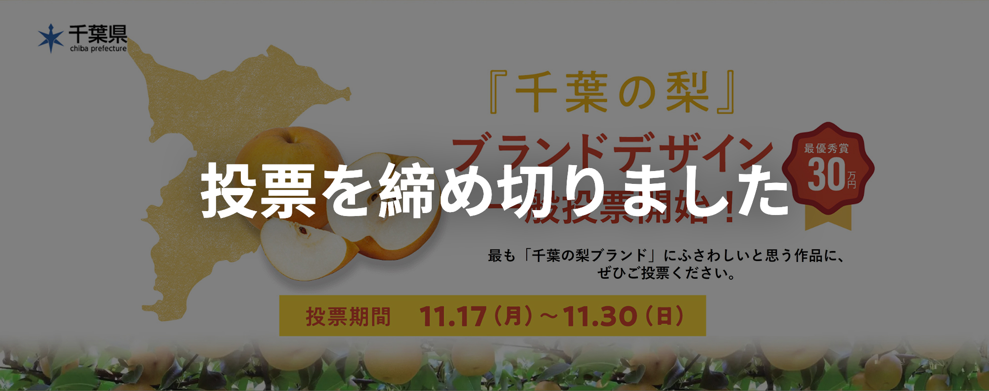 「千葉の梨」ブランドデザイン募集
